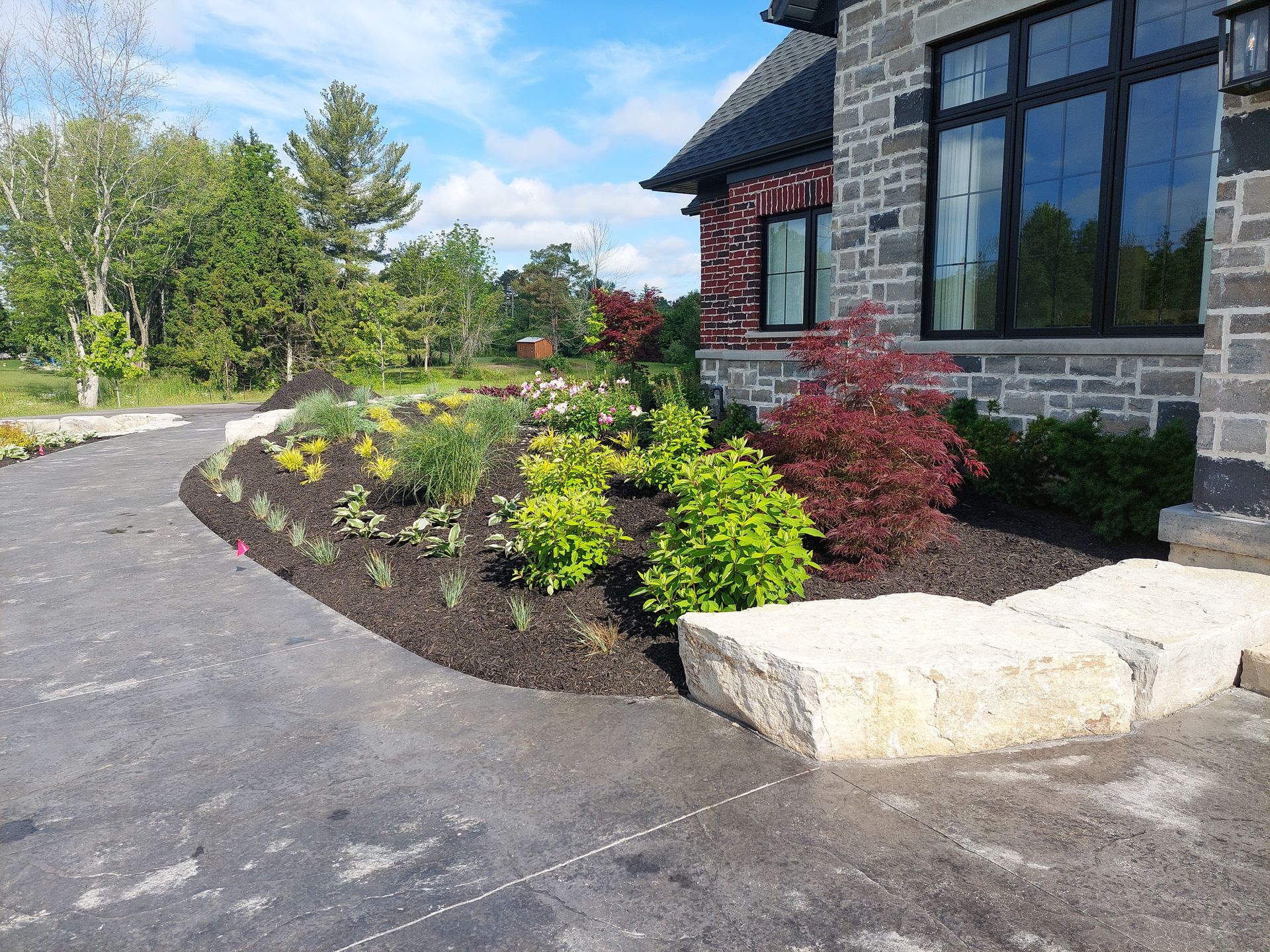 A garden bed with shrubs, grasses, and a red Japanese maple next to a stone house and a paved driveway.