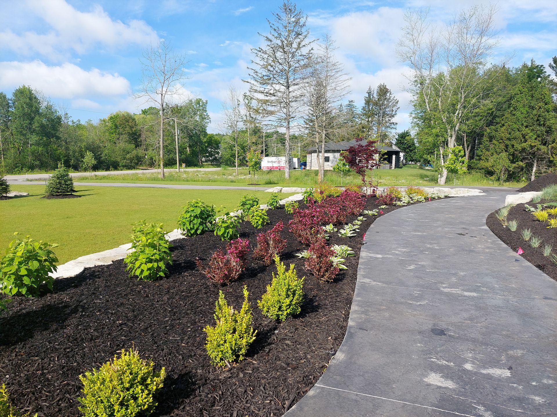 A curved stone path borders a garden bed with bright green and deep red shrubs mulched in dark wood, set against a lawn.
