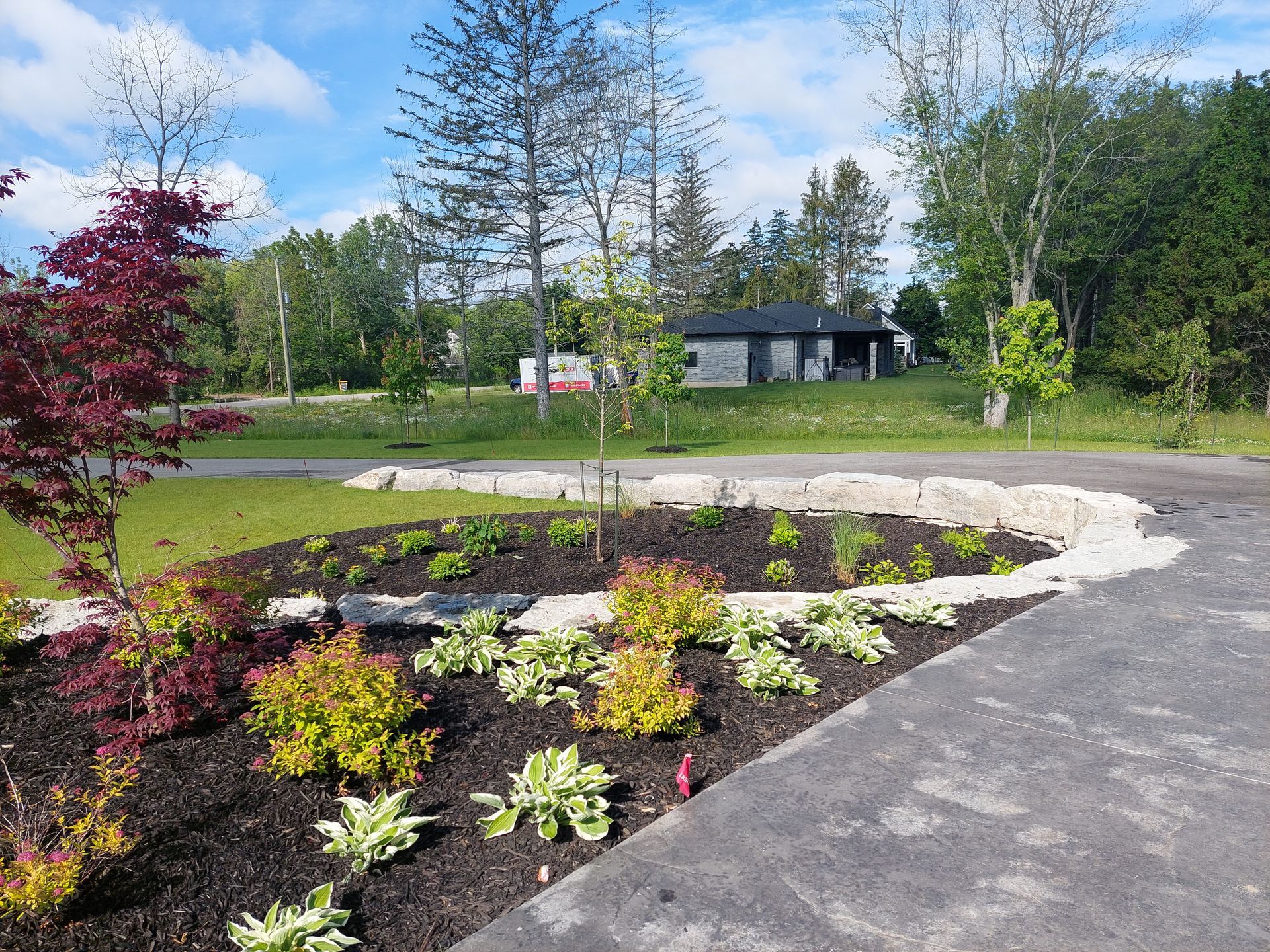 A garden bed with hostas and shrubs, bordered by a stone retaining wall next to a paved driveway under a blue sky.
