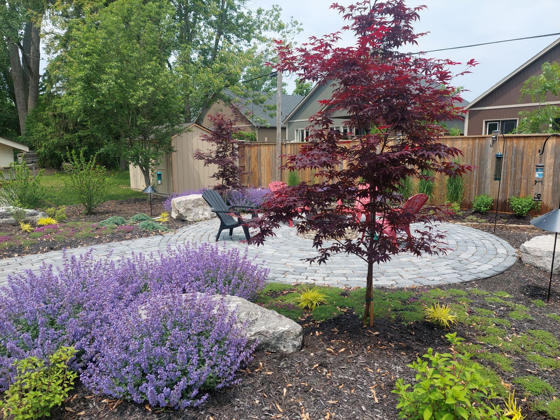A landscaped backyard patio with a red Japanese maple, purple catmint, large rocks, and a charcoal patio chair.