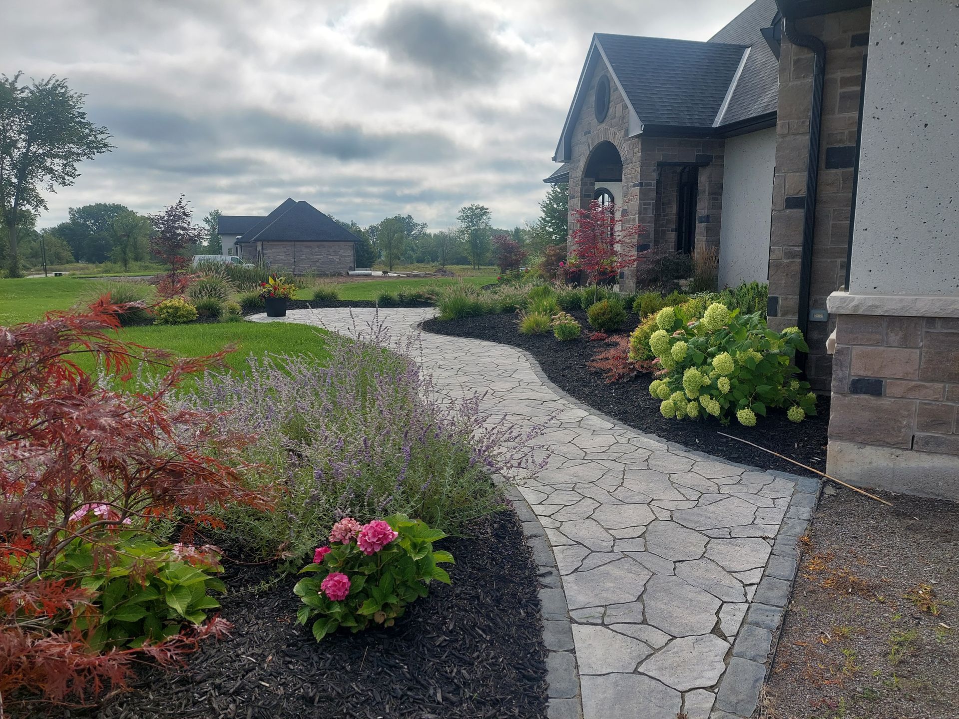 A stone walkway curves alongside a house with flower beds featuring hydrangeas, lavender, and a red-leafed shrub.