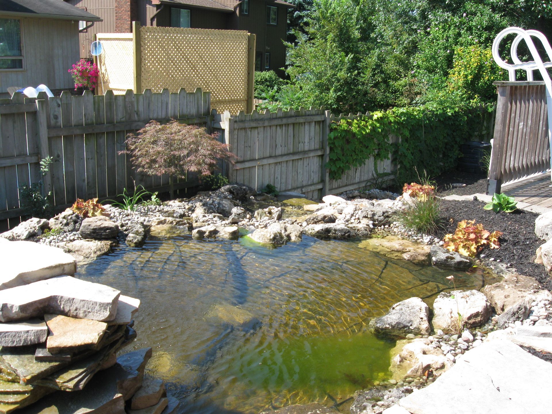 A backyard garden pond surrounded by stacked stones and landscaping, with a fence and pool ladder in the background.