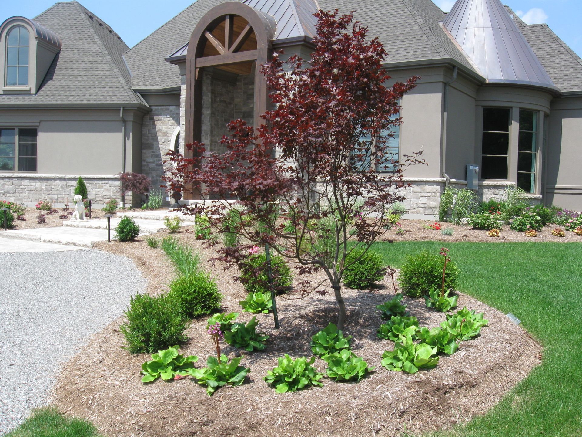 A suburban home with a stone and stucco facade, featuring a red-leafed tree and small green bushes in a landscaped garden.