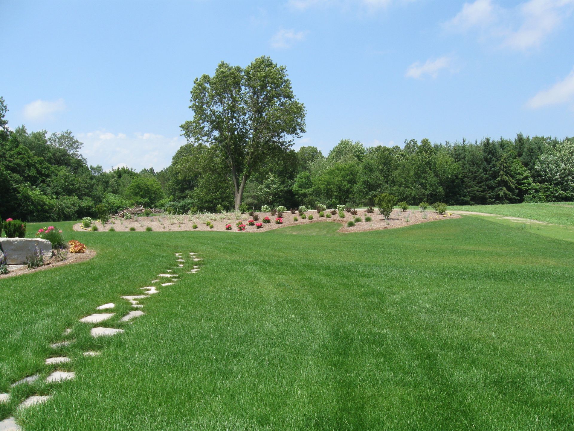 A green lawn with a stone path leading toward a garden bed with a single tall tree under a blue sky.