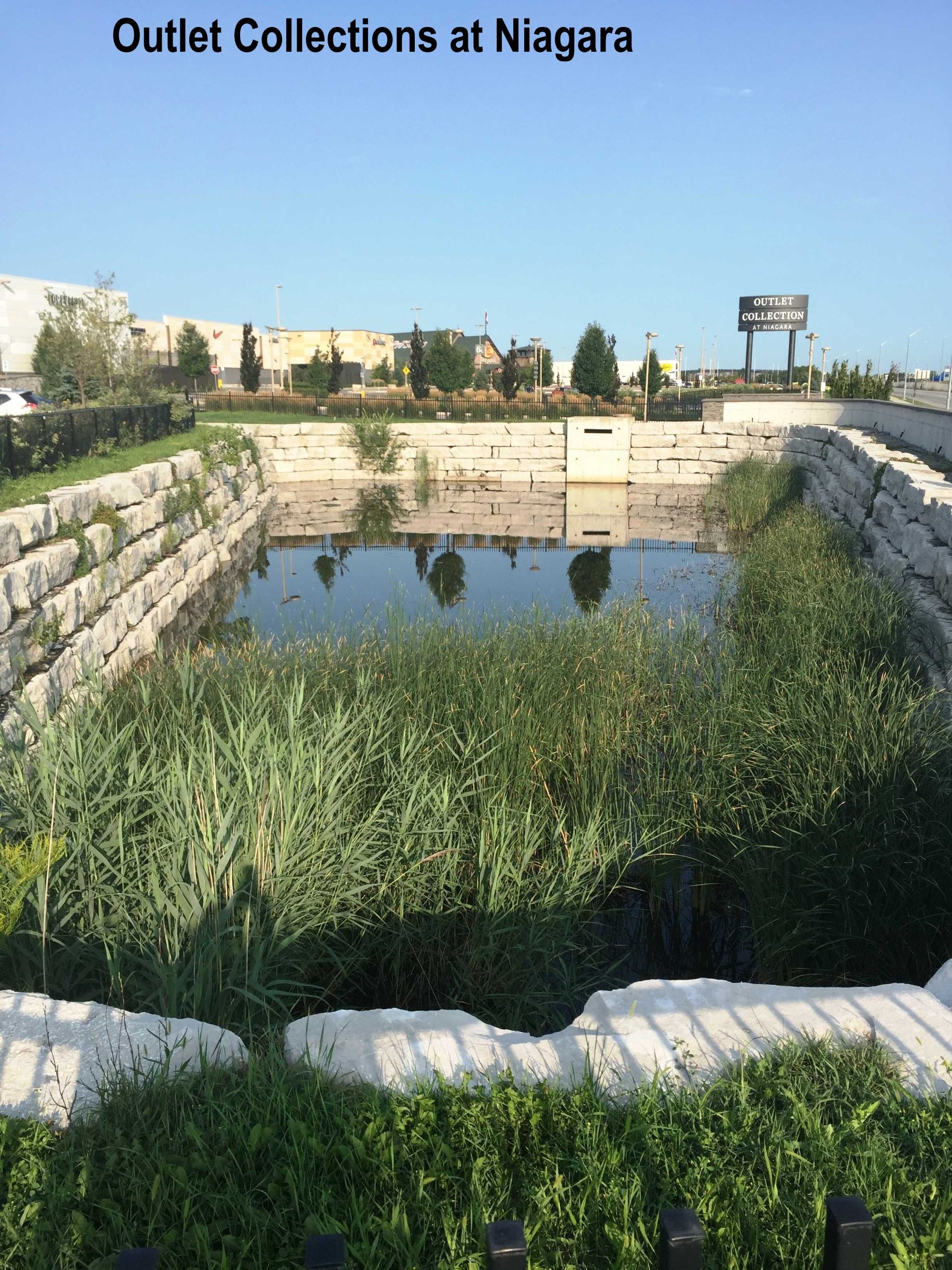 A retention pond with tall grasses surrounded by stone retaining walls at Outlet Collections at Niagara.