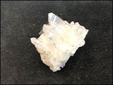 packardstampandrock