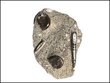 packardstampandrock