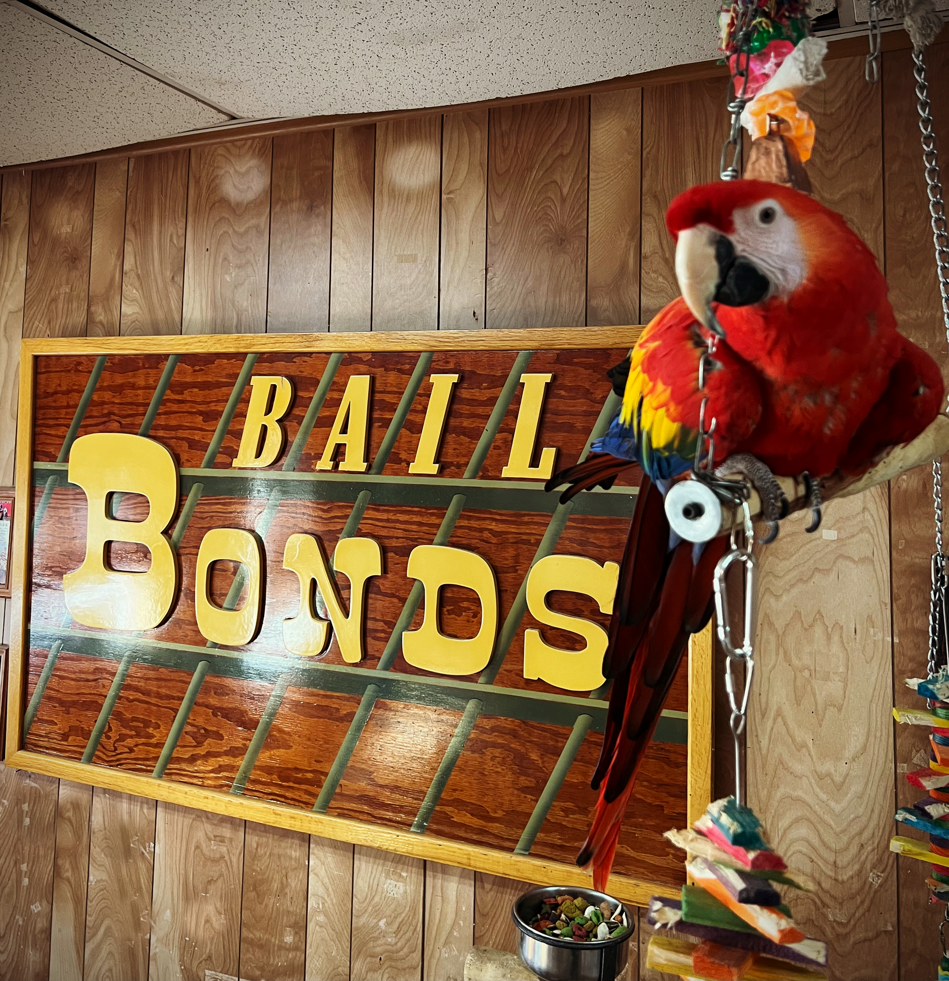 Man is being Detained by the Police – Waxahachie, TX – A A A Bail Bonds