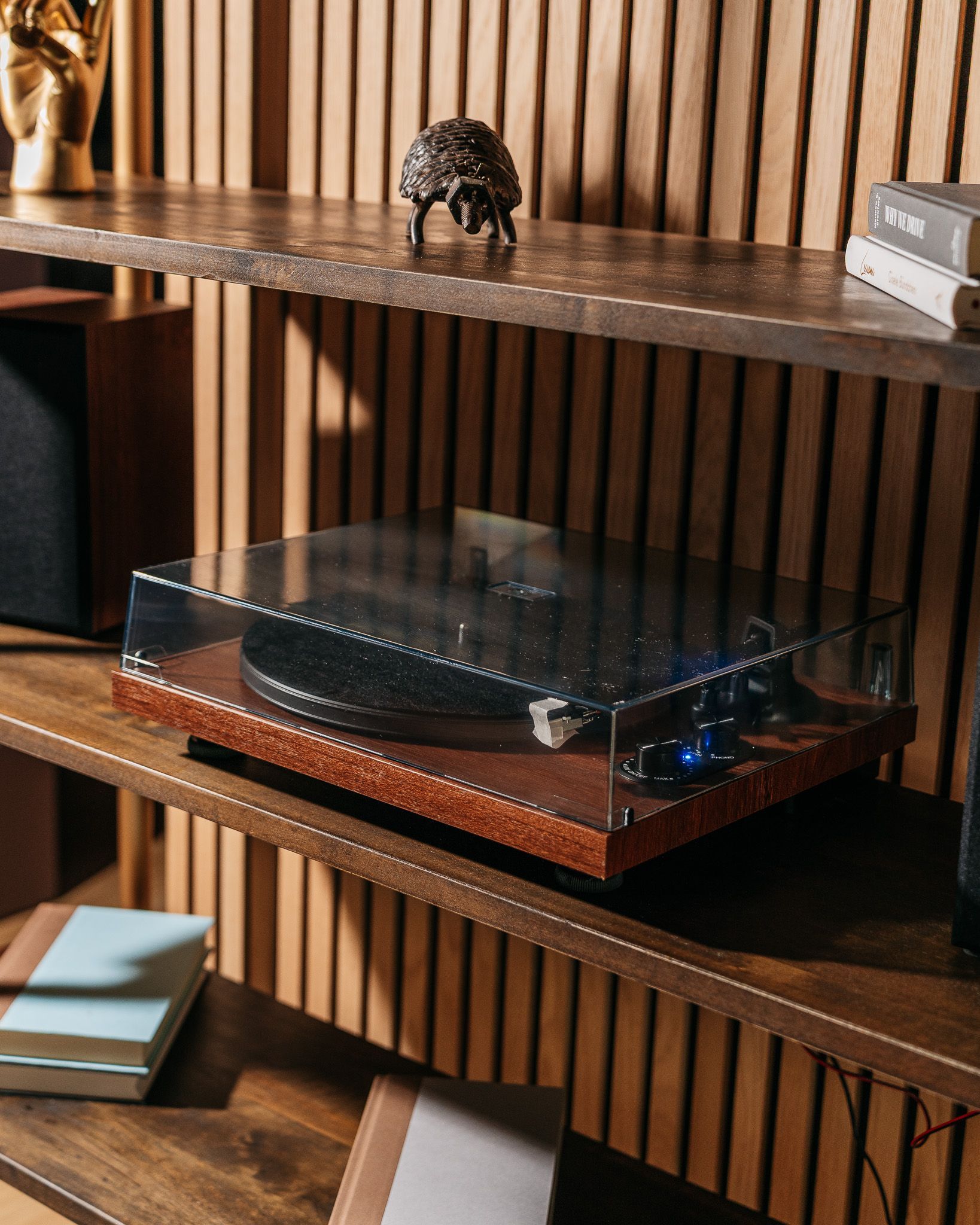 Modern wood shelving with a black object inside a clear case and small decor items on the shelves