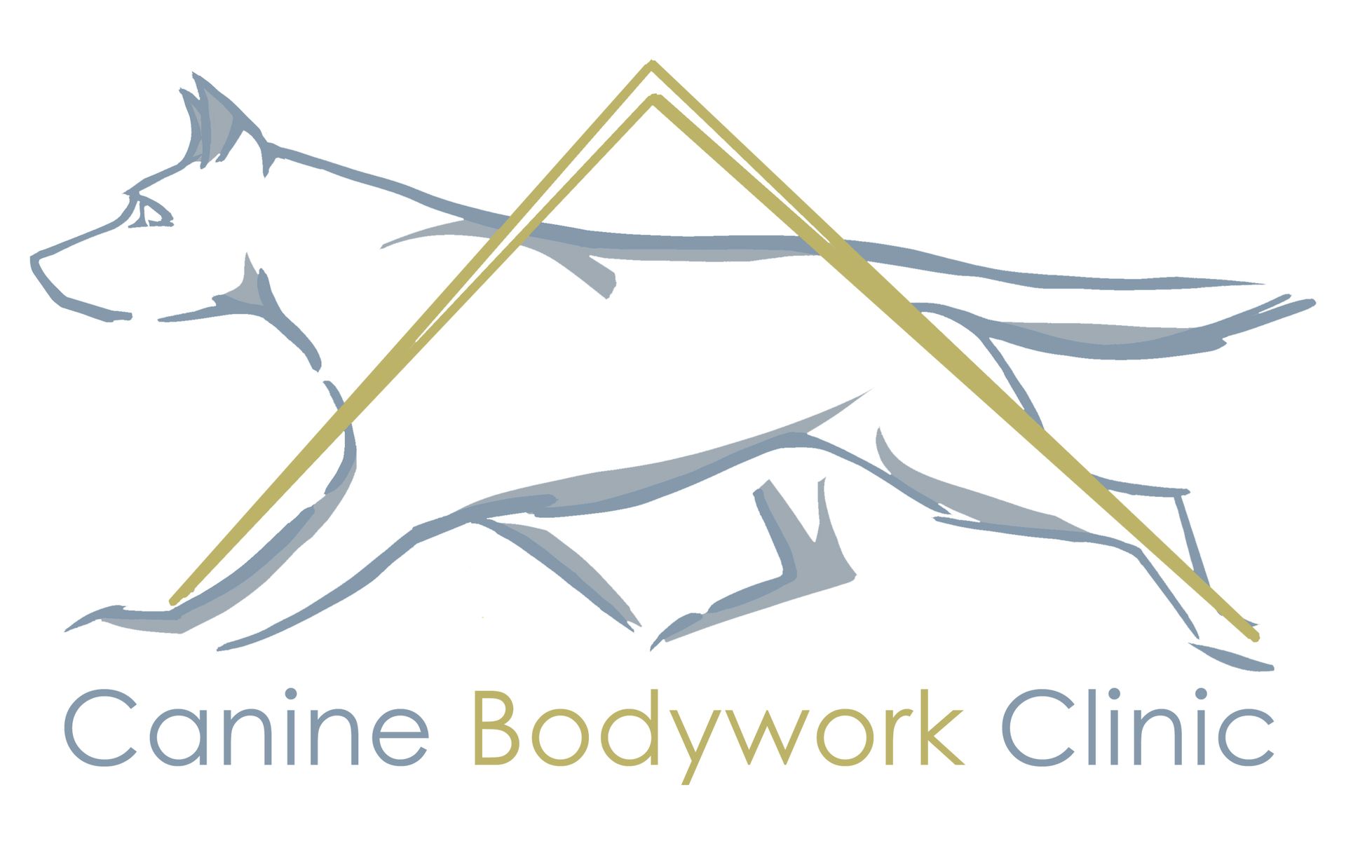 canine hydrotherapy, dog hydrotherapy, canine bodywork, dog massage, canine massage