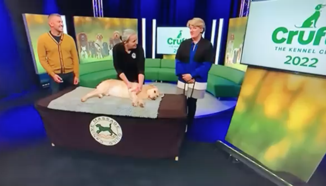 canine massage guild