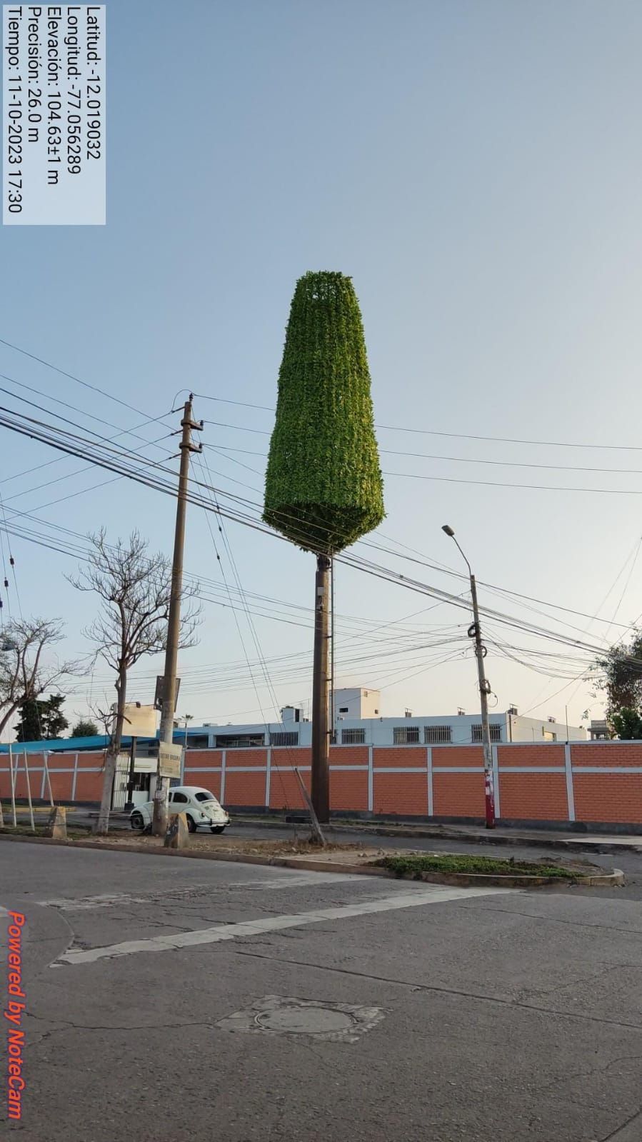 mimetizado