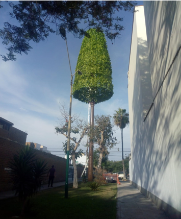 mimetizado