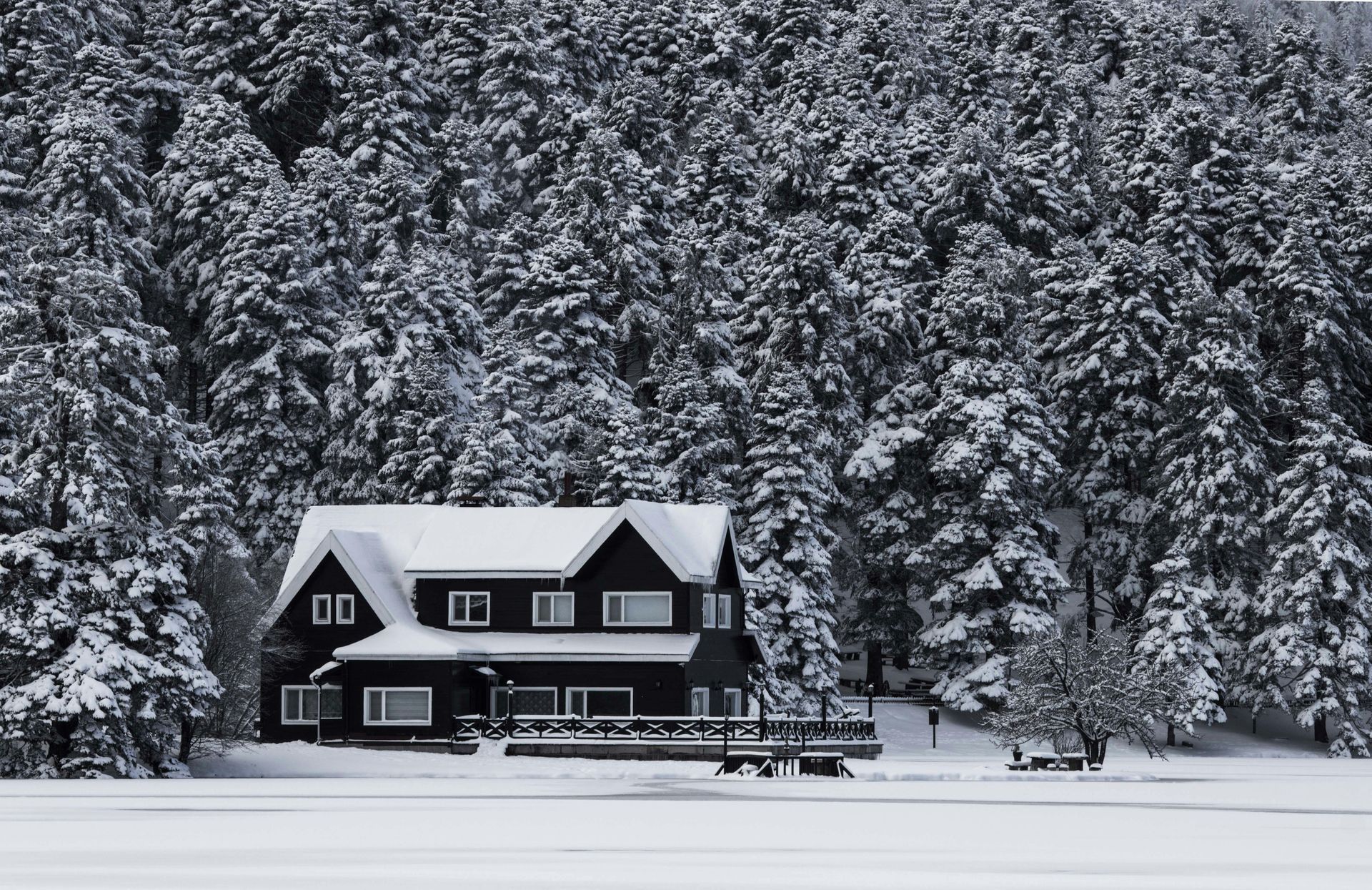 Snow-covered cabin in front of a dense forest. The scene is mostly monochrome, with snow on the roof and surrounding trees.