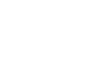 A white background with a few lines on it