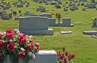 Gravestones in a cemetery, with pink flowers in the foreground and green grass throughout