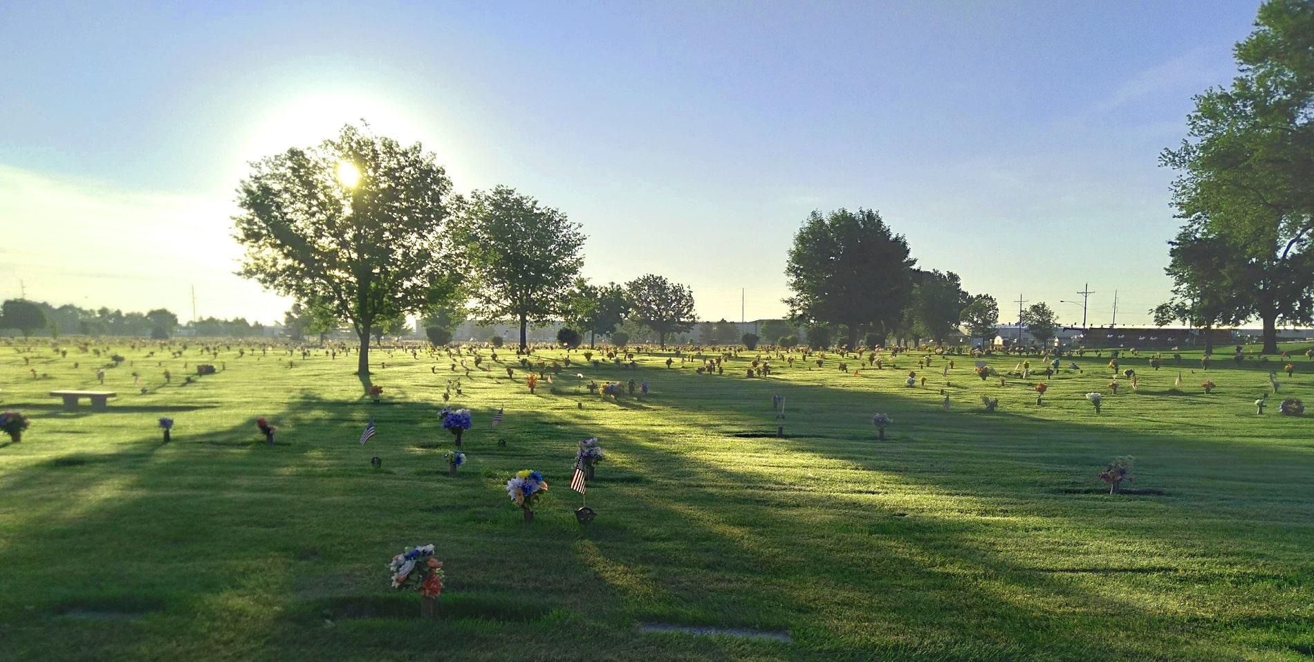 Sunlit park with scattered trees and several people walking across a grassy field