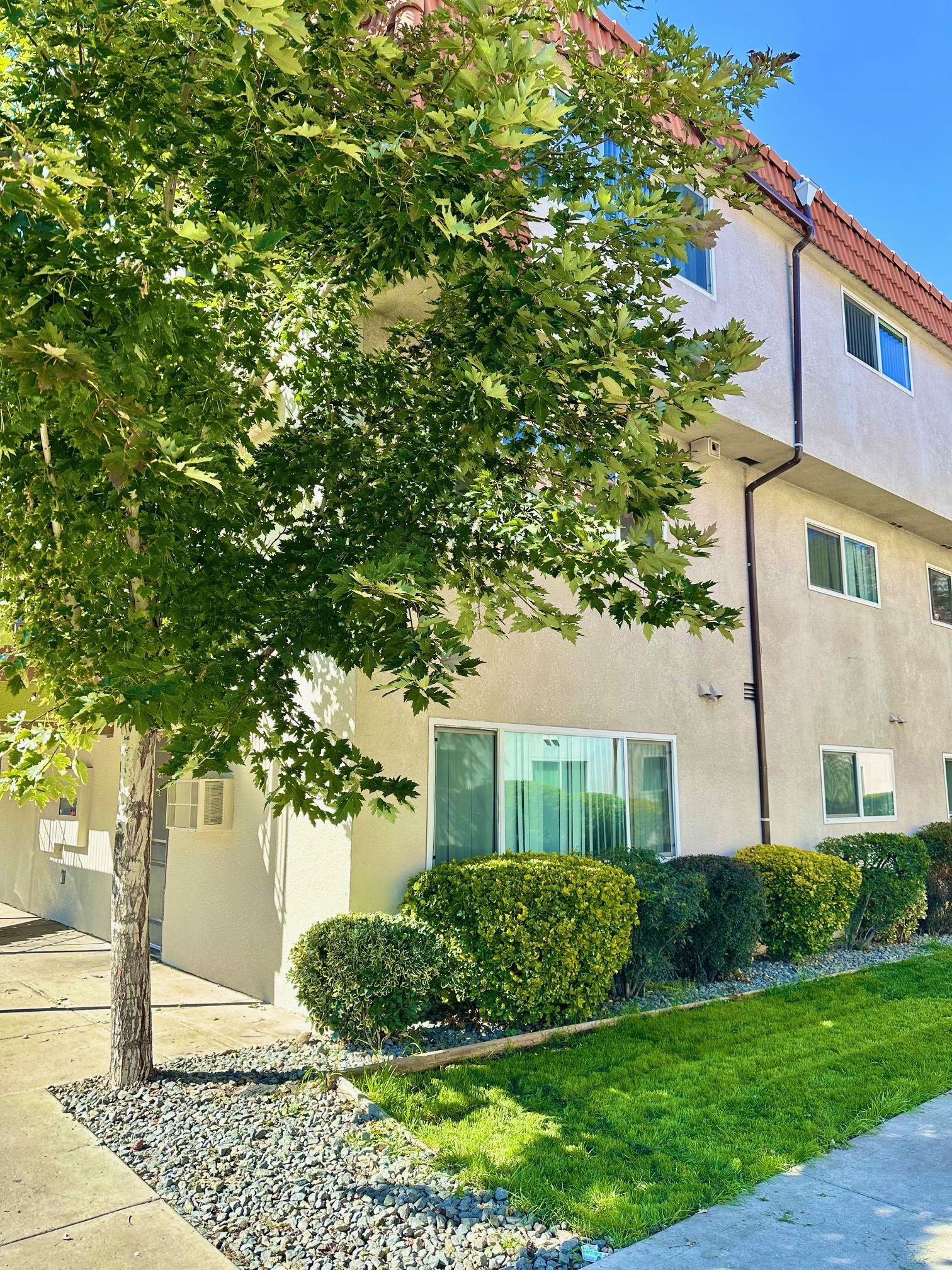 Peaceful garden-style apartment buildings at Sherwood Forest in Reno
