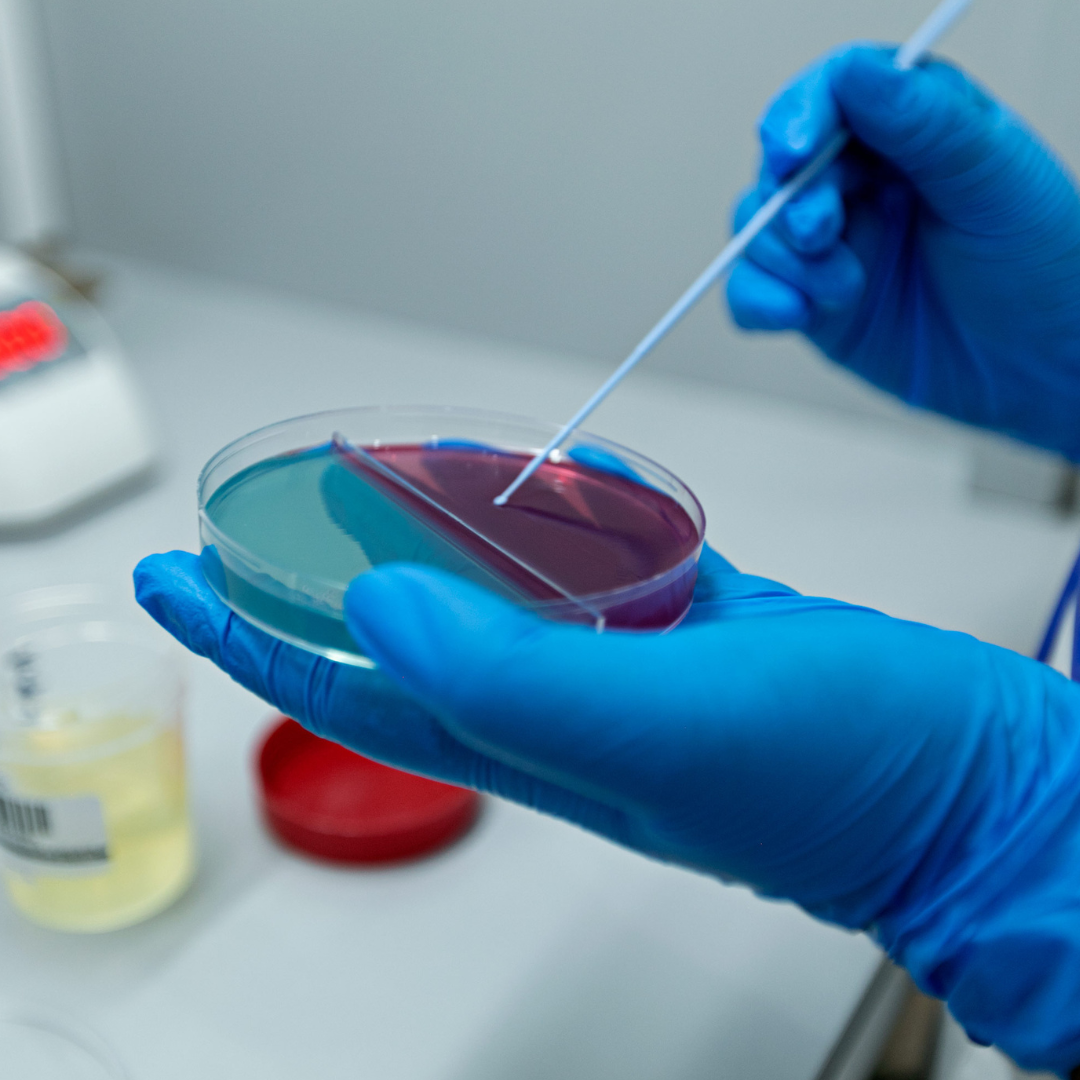 Microbiología