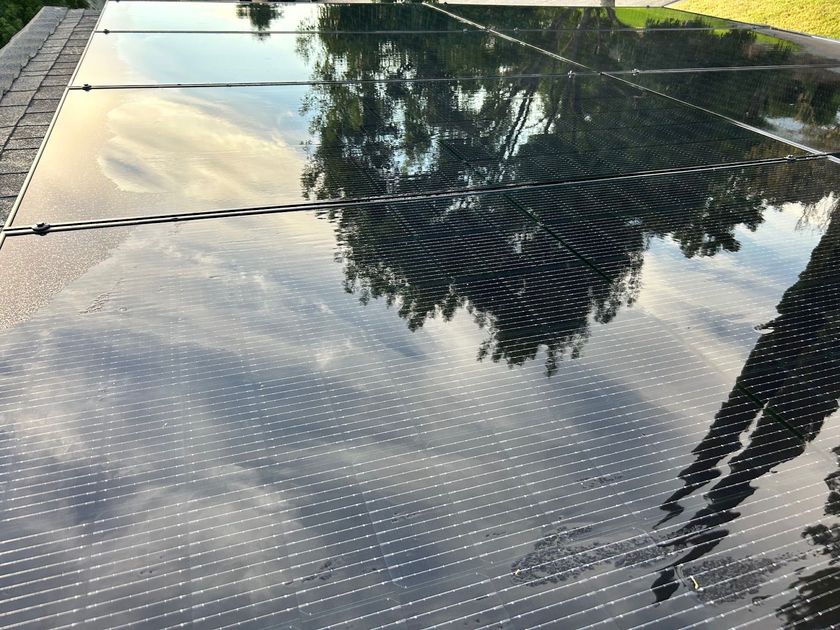 Reflective glass walkway with tree and sky reflections, dotted surface, and a person’s shadow at right