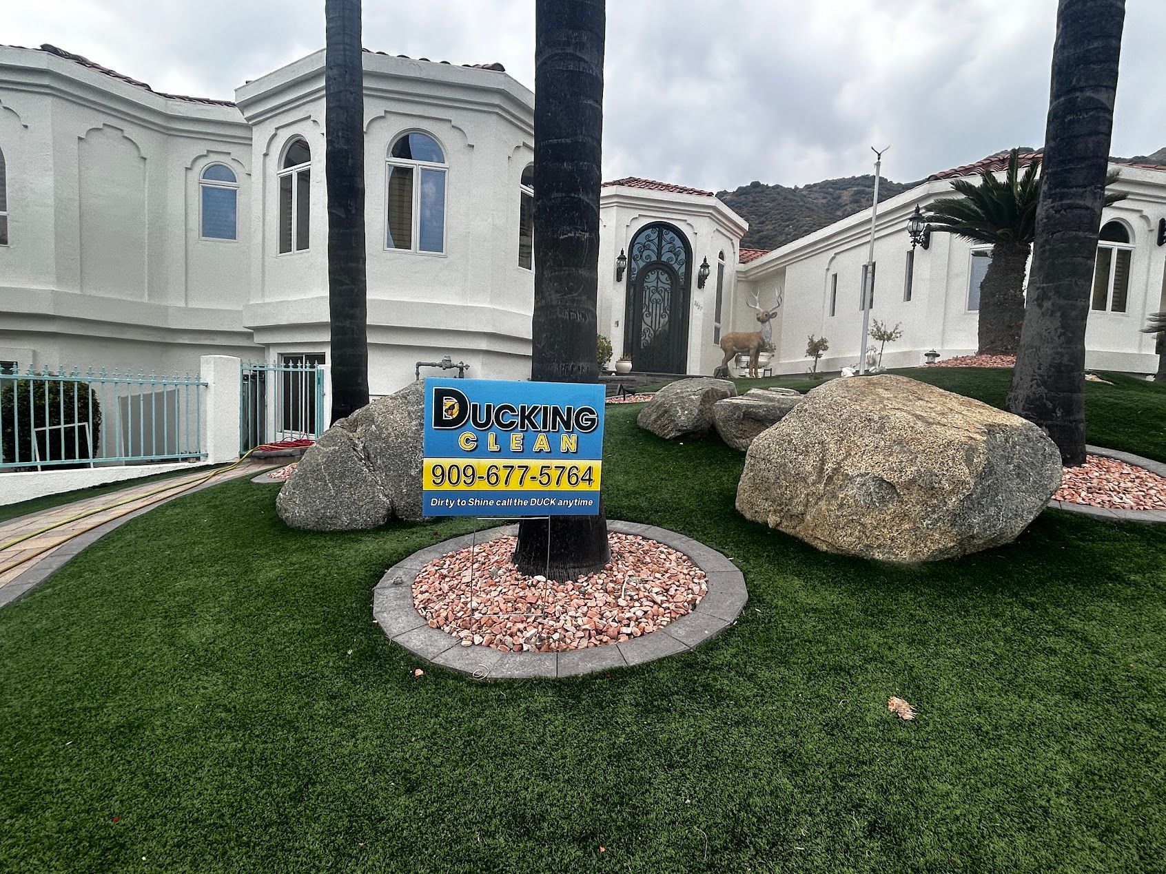 Dunedin City sign in front of a white building, with palm trees, rocks, and green lawn.