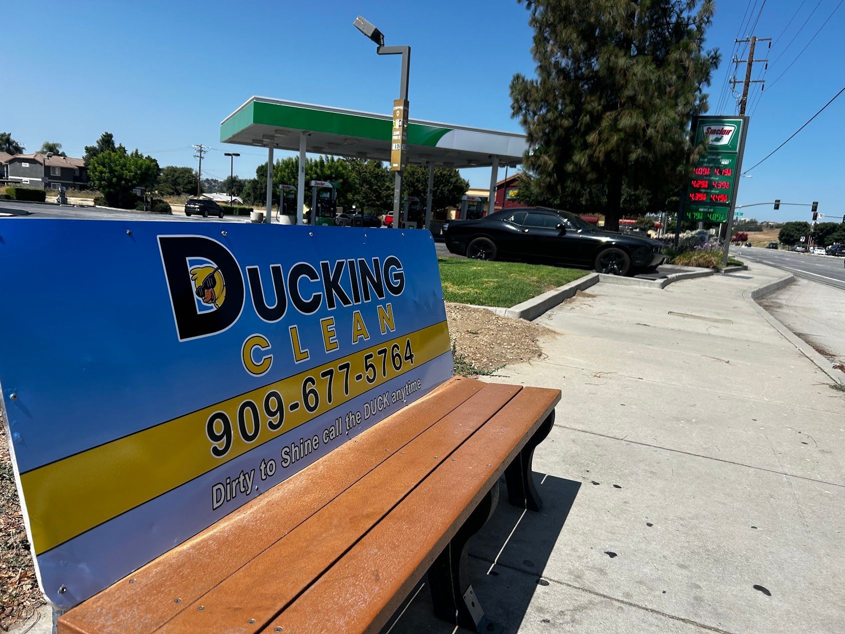Blue bench with “Ducking Clean” sign beside a sidewalk on a sunny street corner