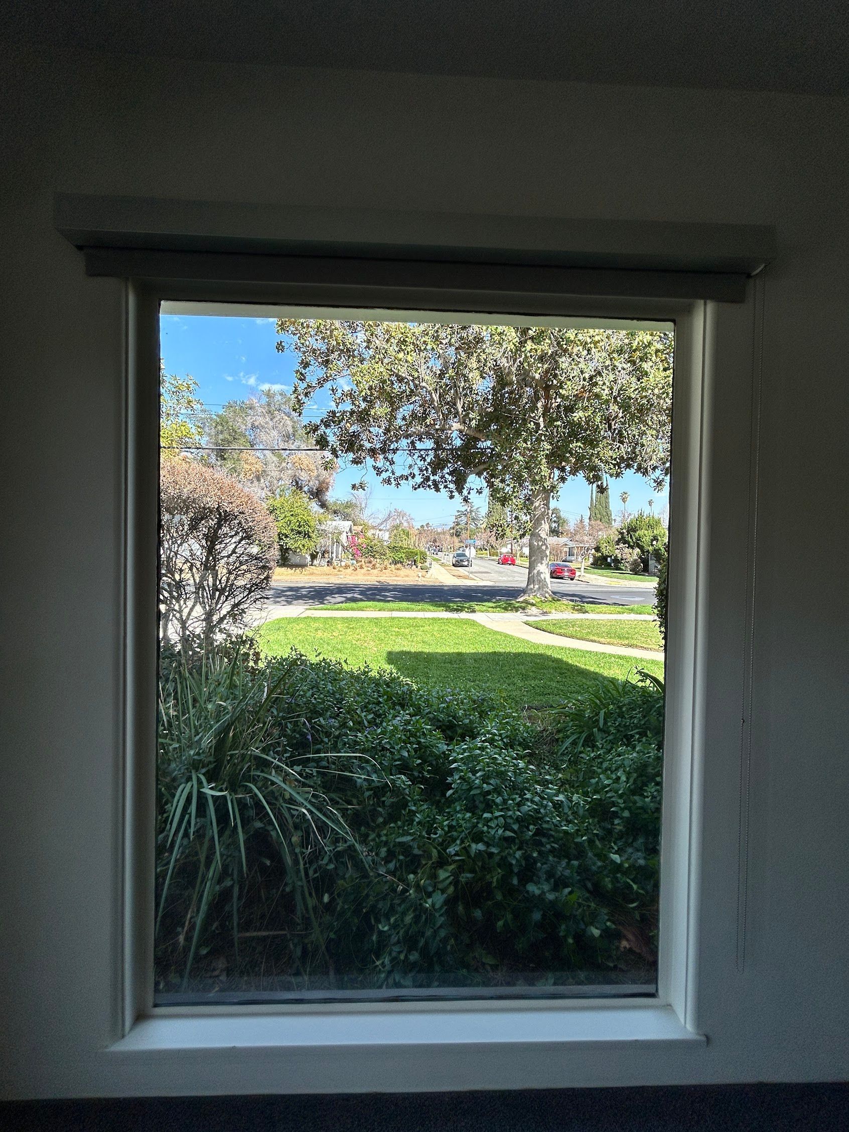 View through a window of a green garden with trees and sunlight outside