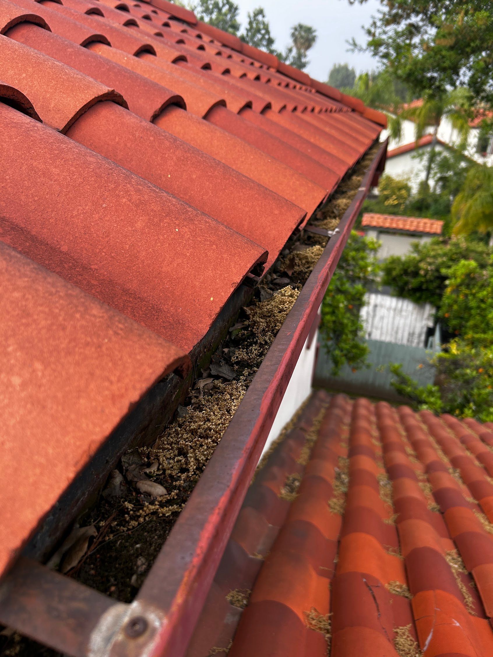 Red clay roof tiles with a gutter full of debris, viewed along a sloped rooftop.