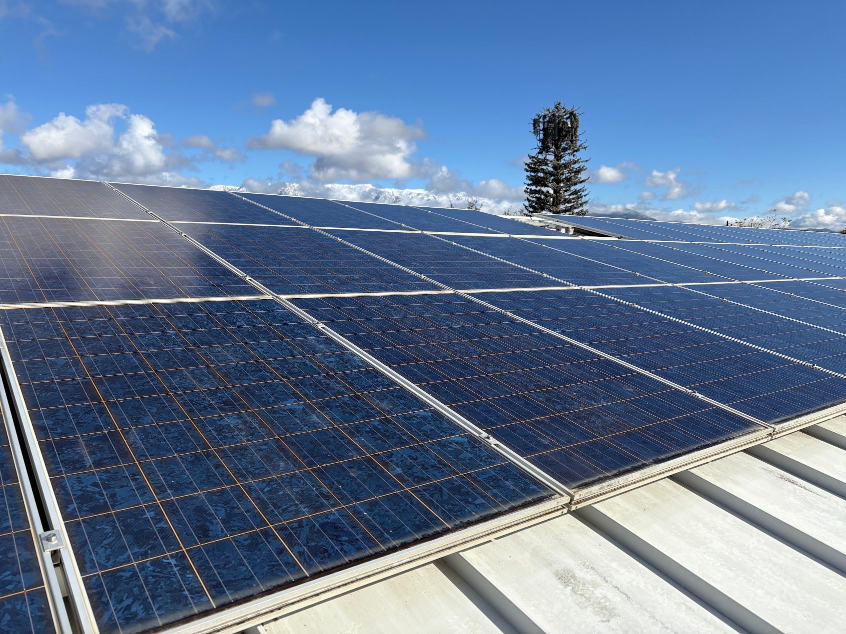 Solar panels on a rooftop under a blue sky with clouds and a tree in the background