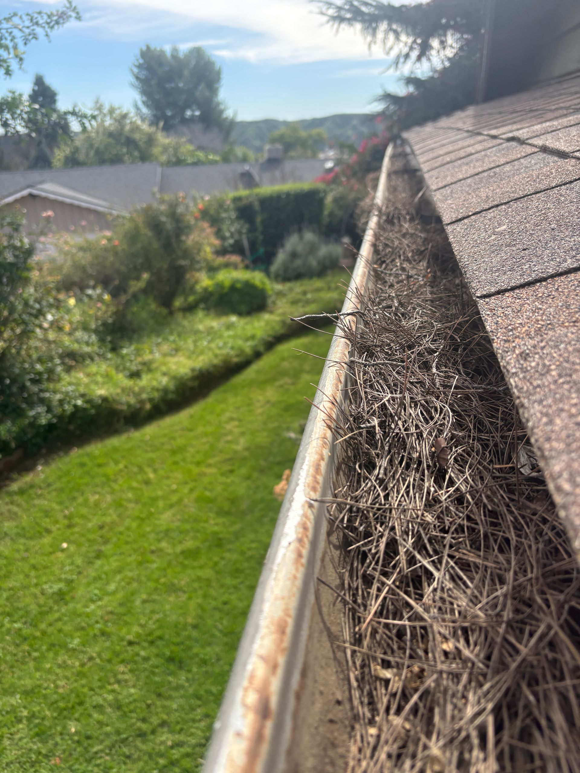 Clogged gutter beside a house roof, with dry debris and a sunny backyard below.