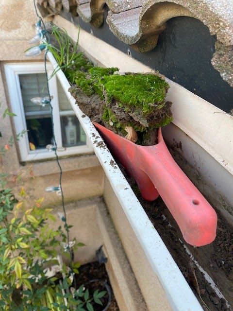 Pink trowel wedged in a gutter with moss and debris beside a building wall and window