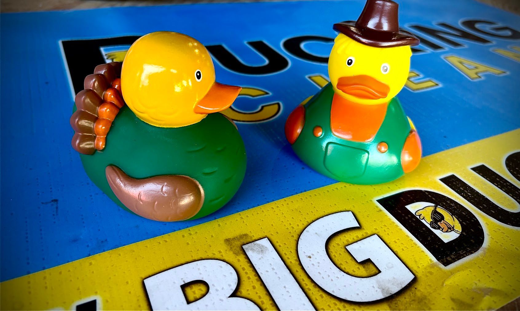 Two colorful rubber duck toys on a blue and yellow sign, one with a brown hat and green shell.