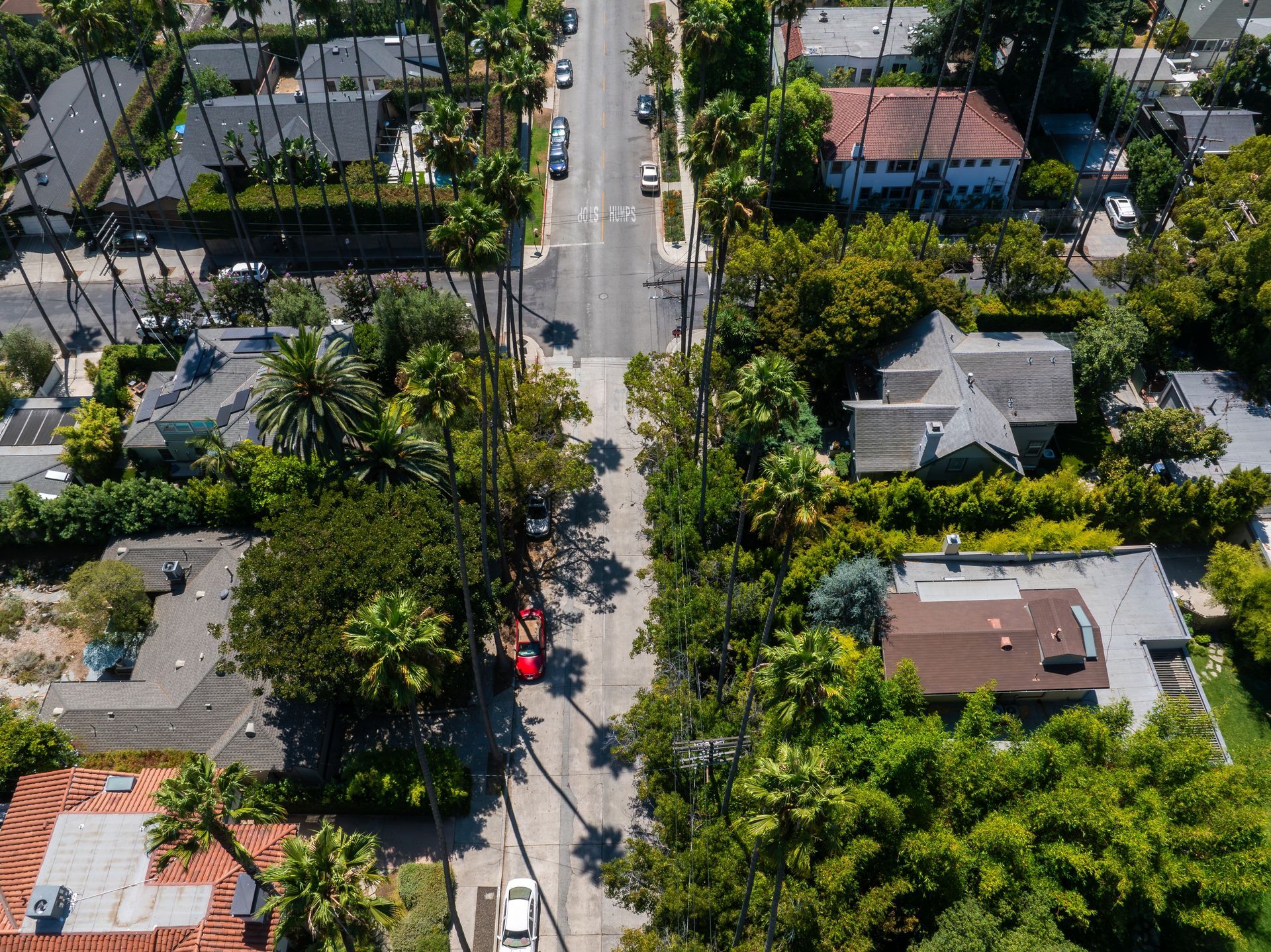 Aerial view of a palm-lined suburban street with houses, parked cars, and a few vehicles traveling along the road.