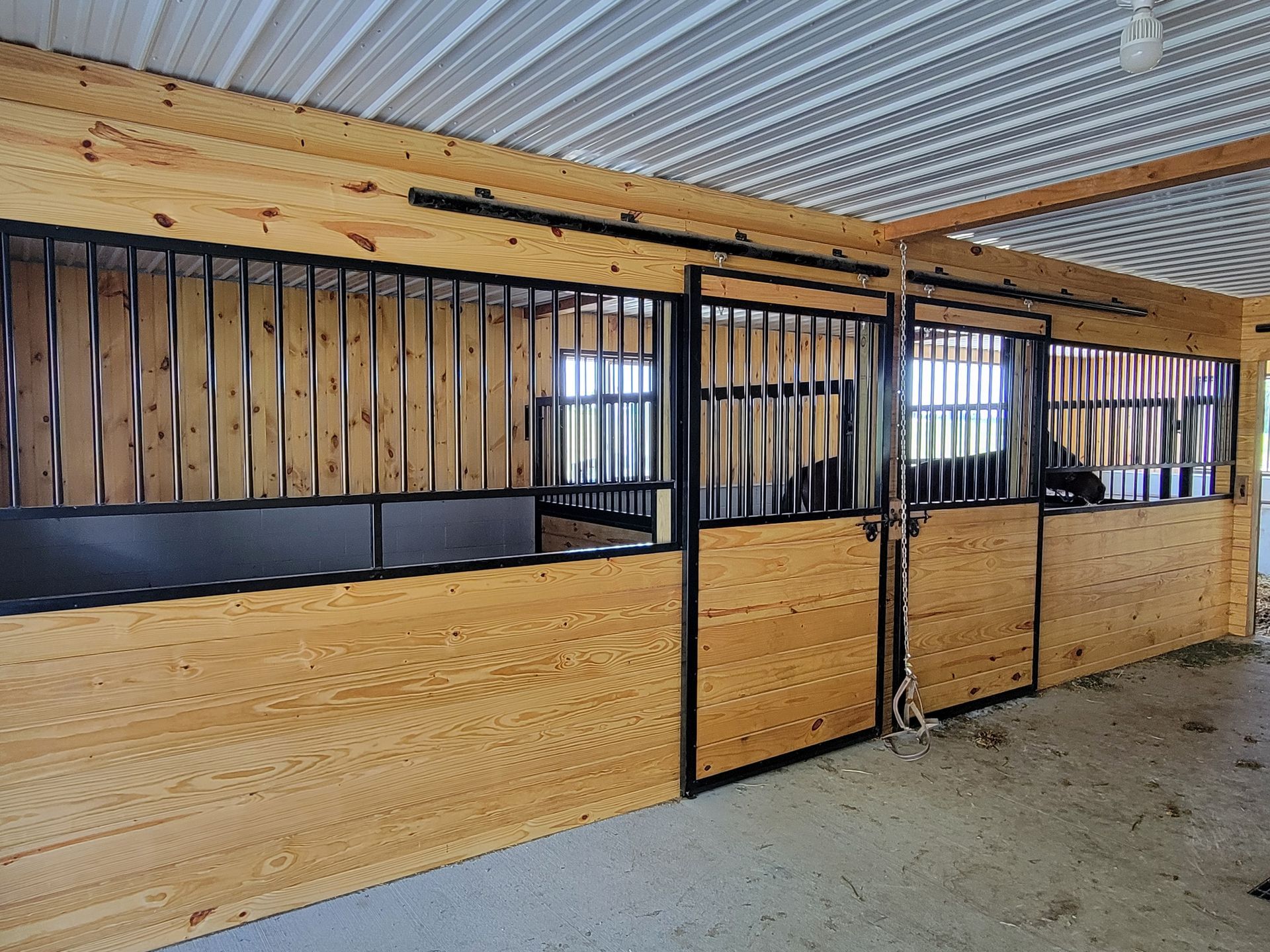 Horse stalls in a barn, with wood and black metal construction, under a corrugated metal roof.