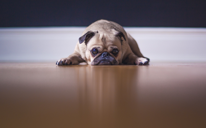 Have you had a 360 degree feedback session and hated it?