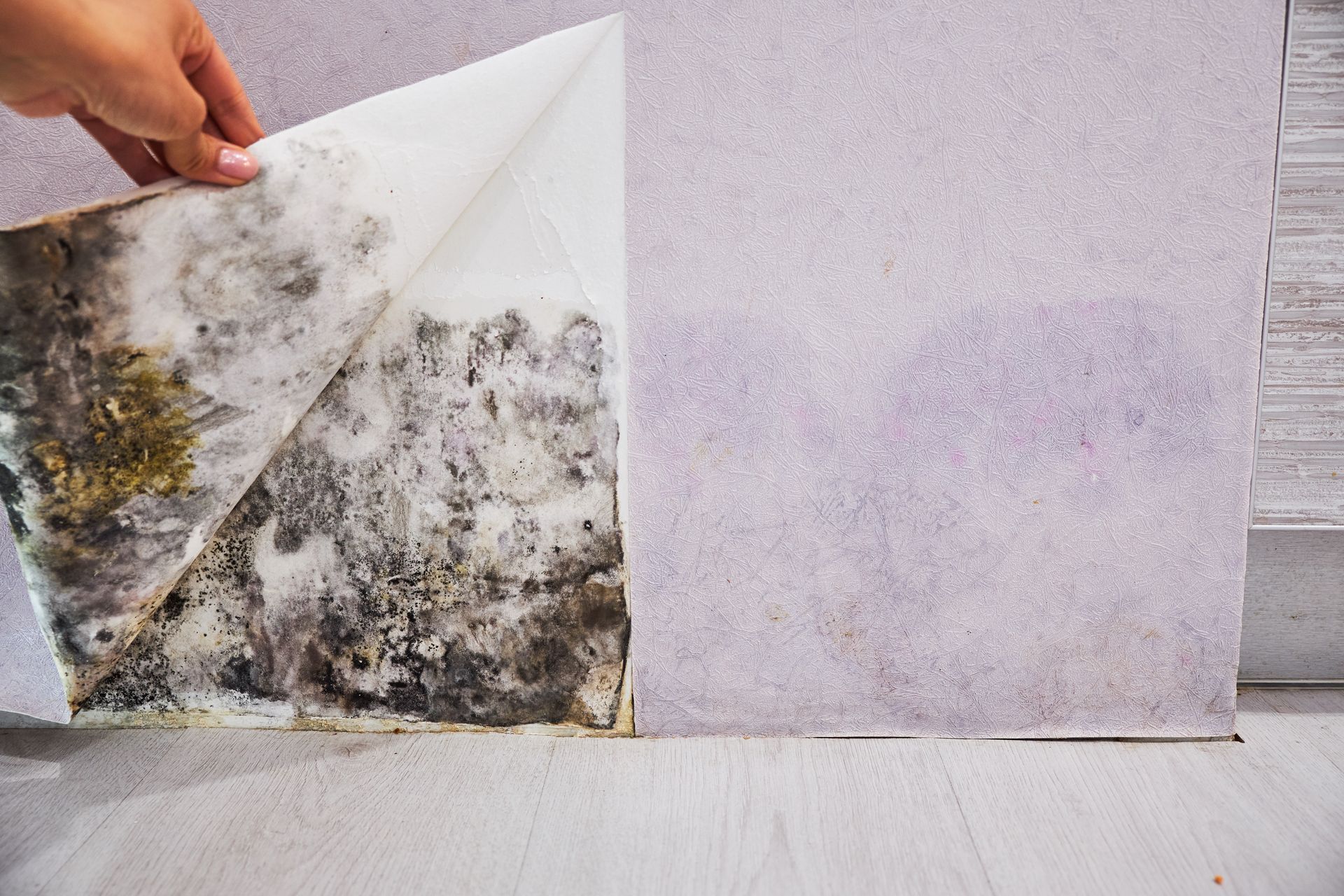Hand lifting moldy wallpaper from a damp wall, revealing black mildew stains underneath