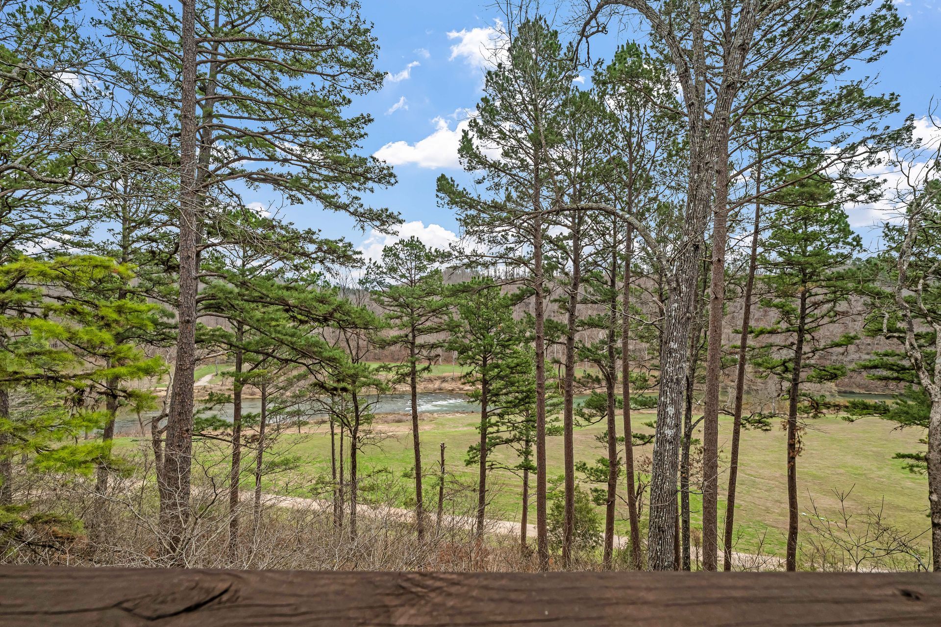 Pine forest overlooking a grassy field under a partly cloudy sky