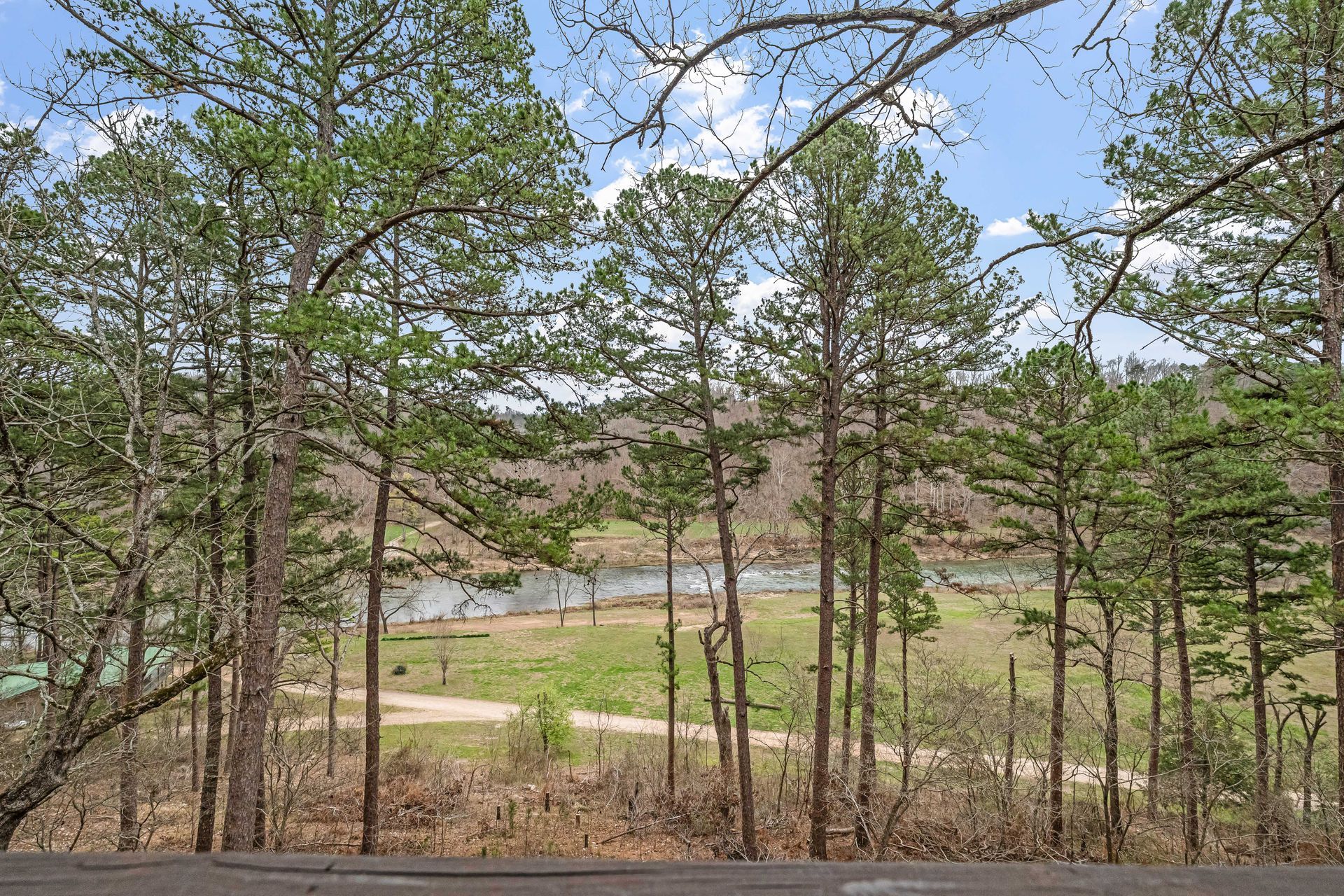 Wooded lakeside landscape with tall trees, grassy shore, and water in the distance