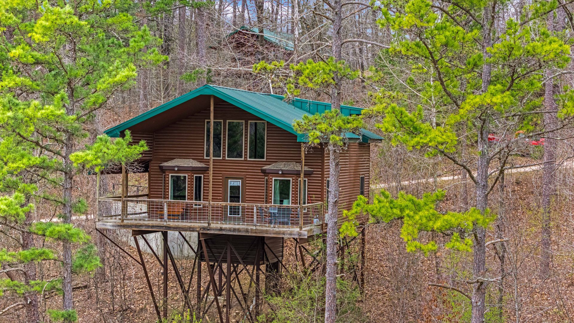 Rustic cabin on stilts among green pine trees in a wooded hillside forest