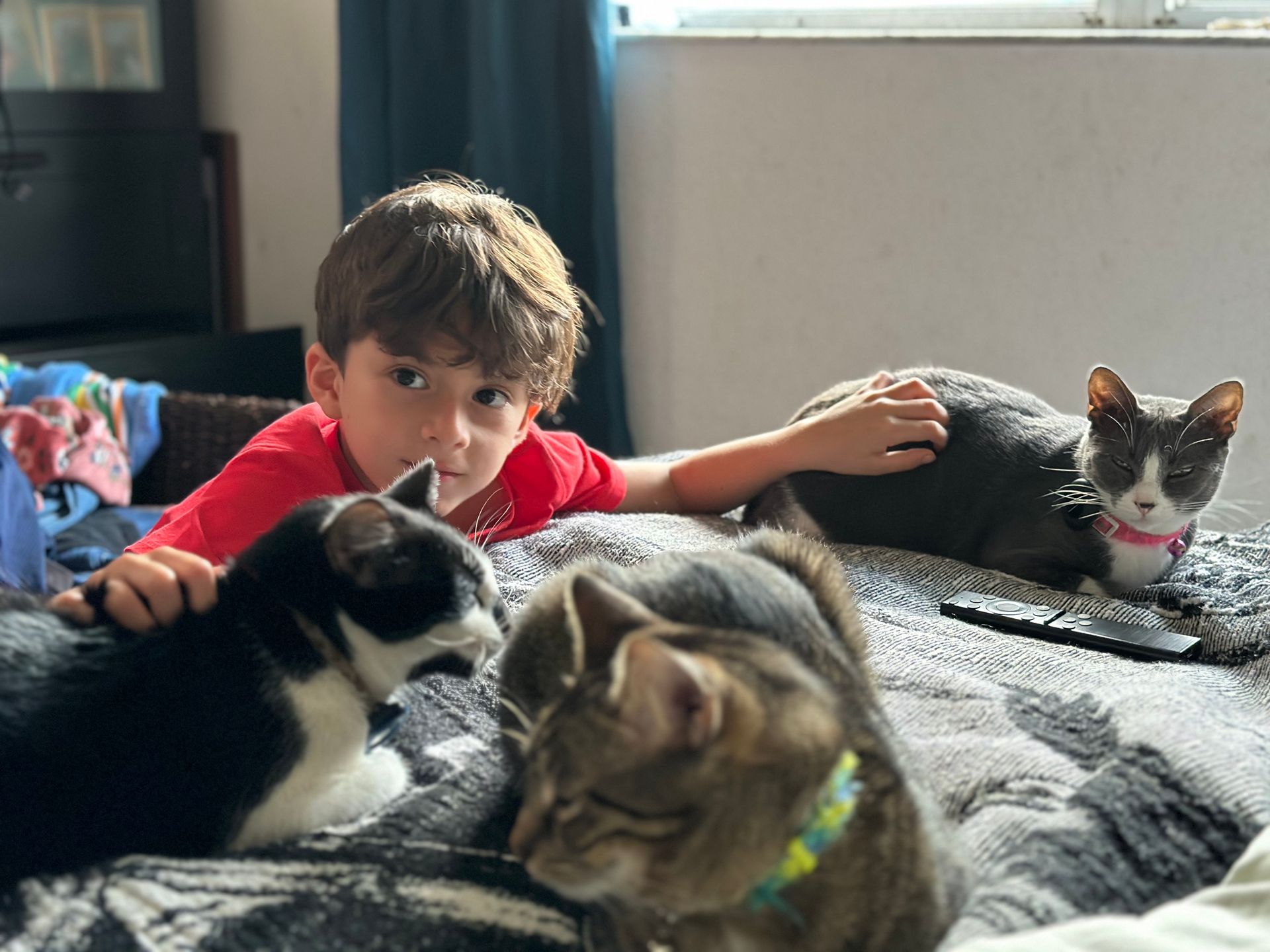 A young boy is laying on a bed with three cats.