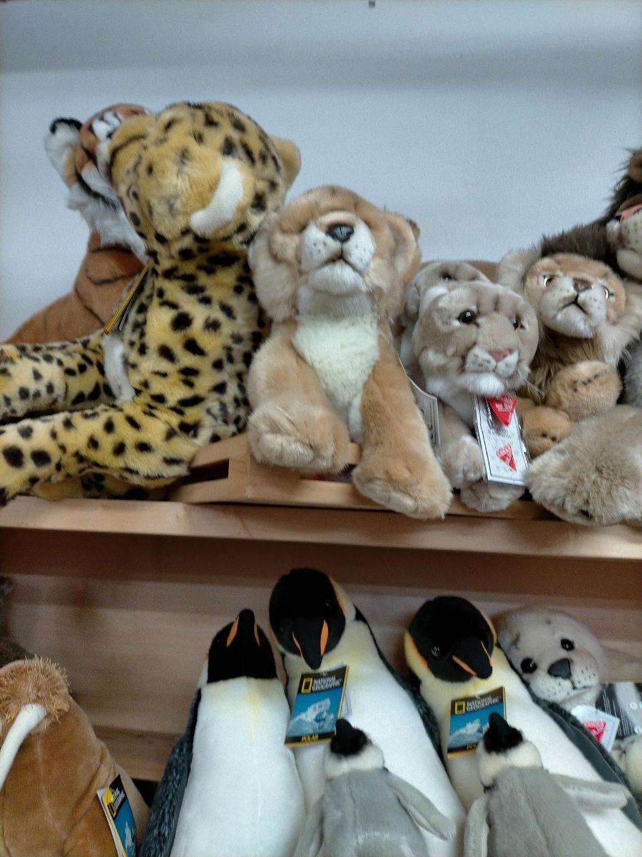 Peluche