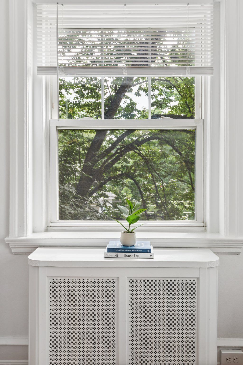 Window views at Greenwood Terrace