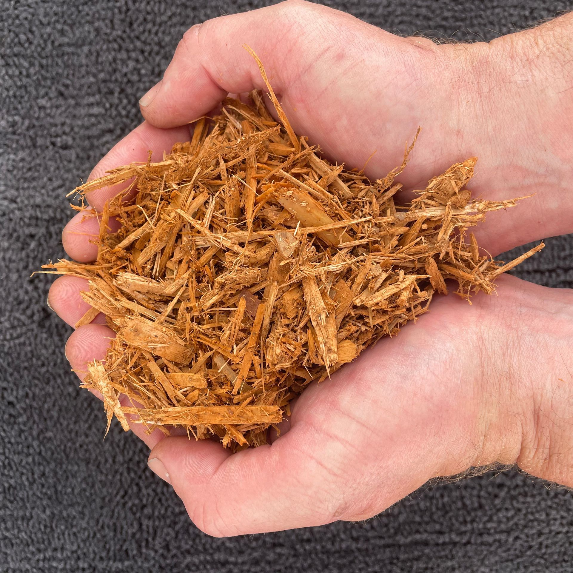 A person is holding a pile of wood chips in their hands A person is holding a pile of wood chips in their hands