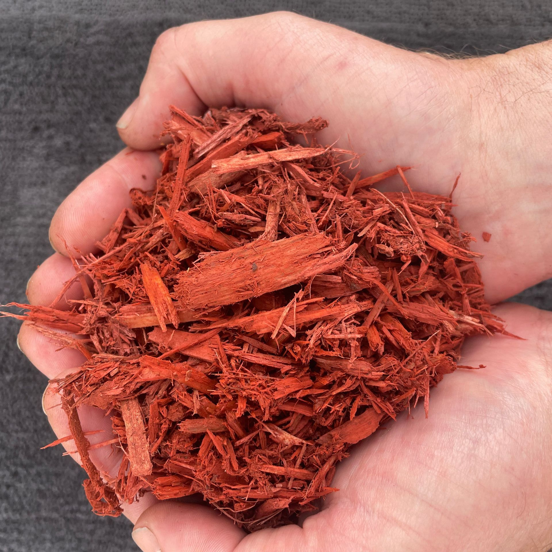 A person is holding a pile of red mulch in their hands A person is holding a pile of red mulch in their hands