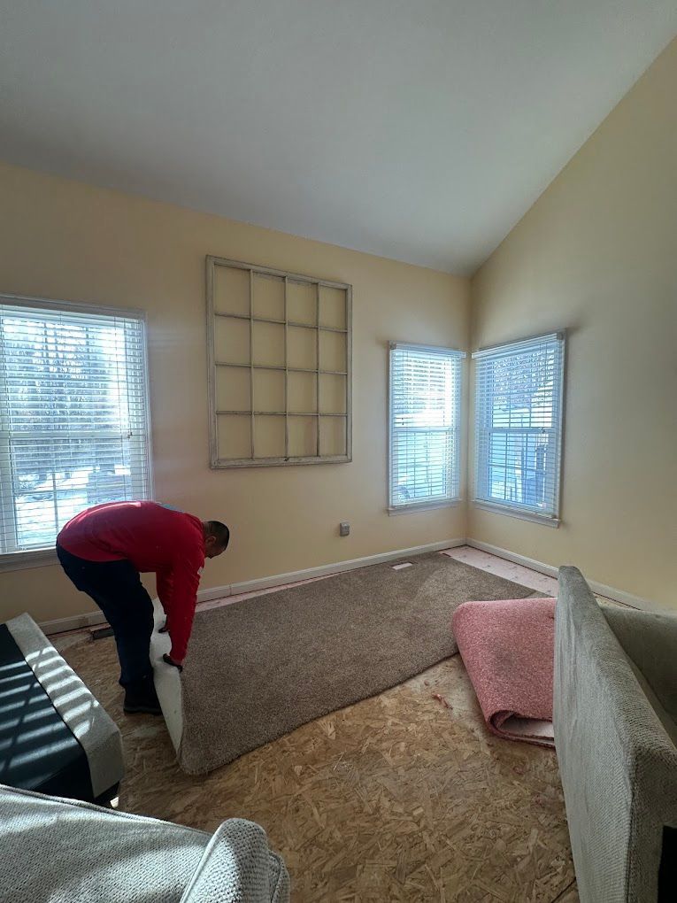 A person in a red shirt pulls back a brown carpet, exposing a wooden subfloor in a sunlit room with two windows.