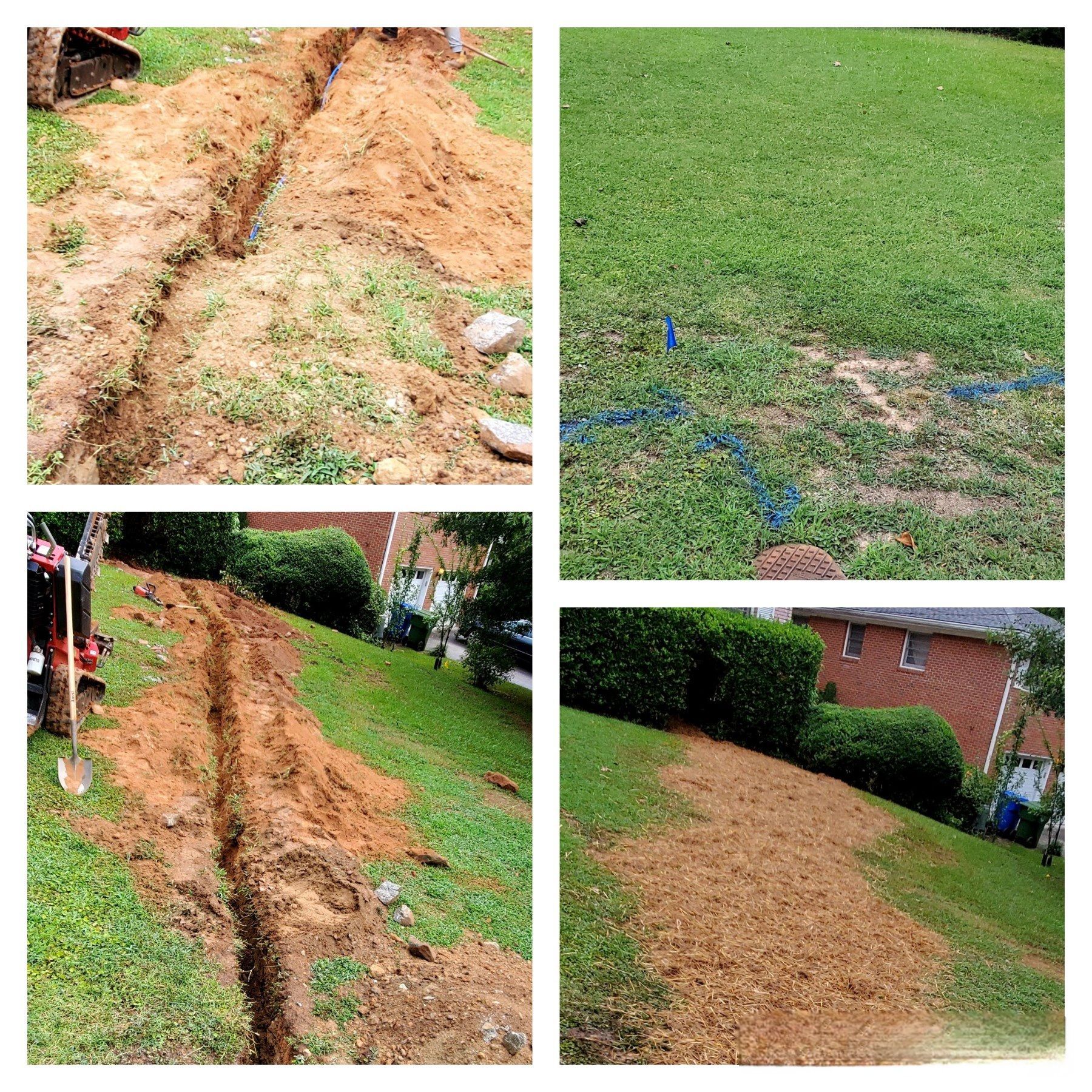 see our work