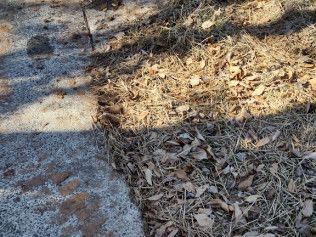 landscaping company charlotte nc