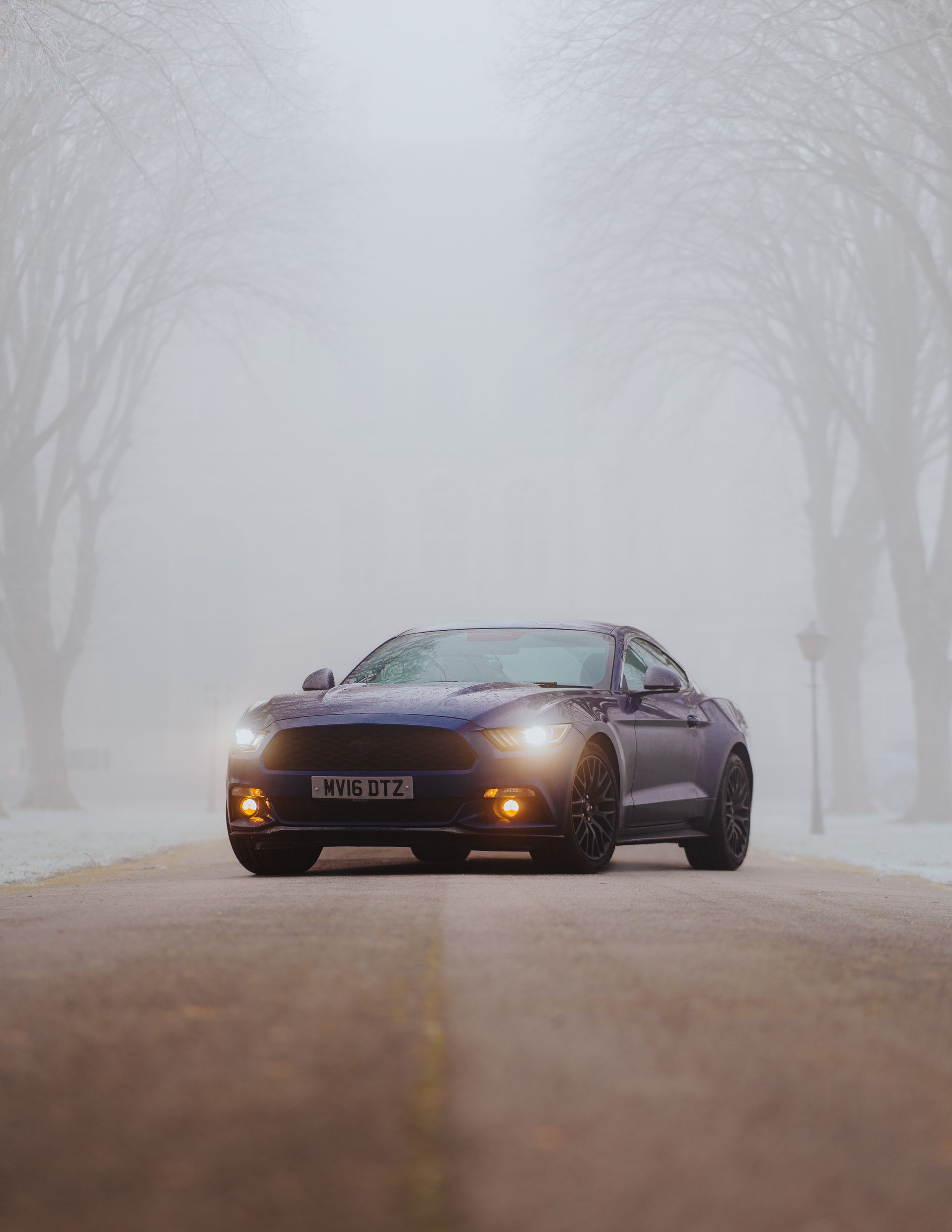 A car, mustang is driving down a foggy road. automotive photography 