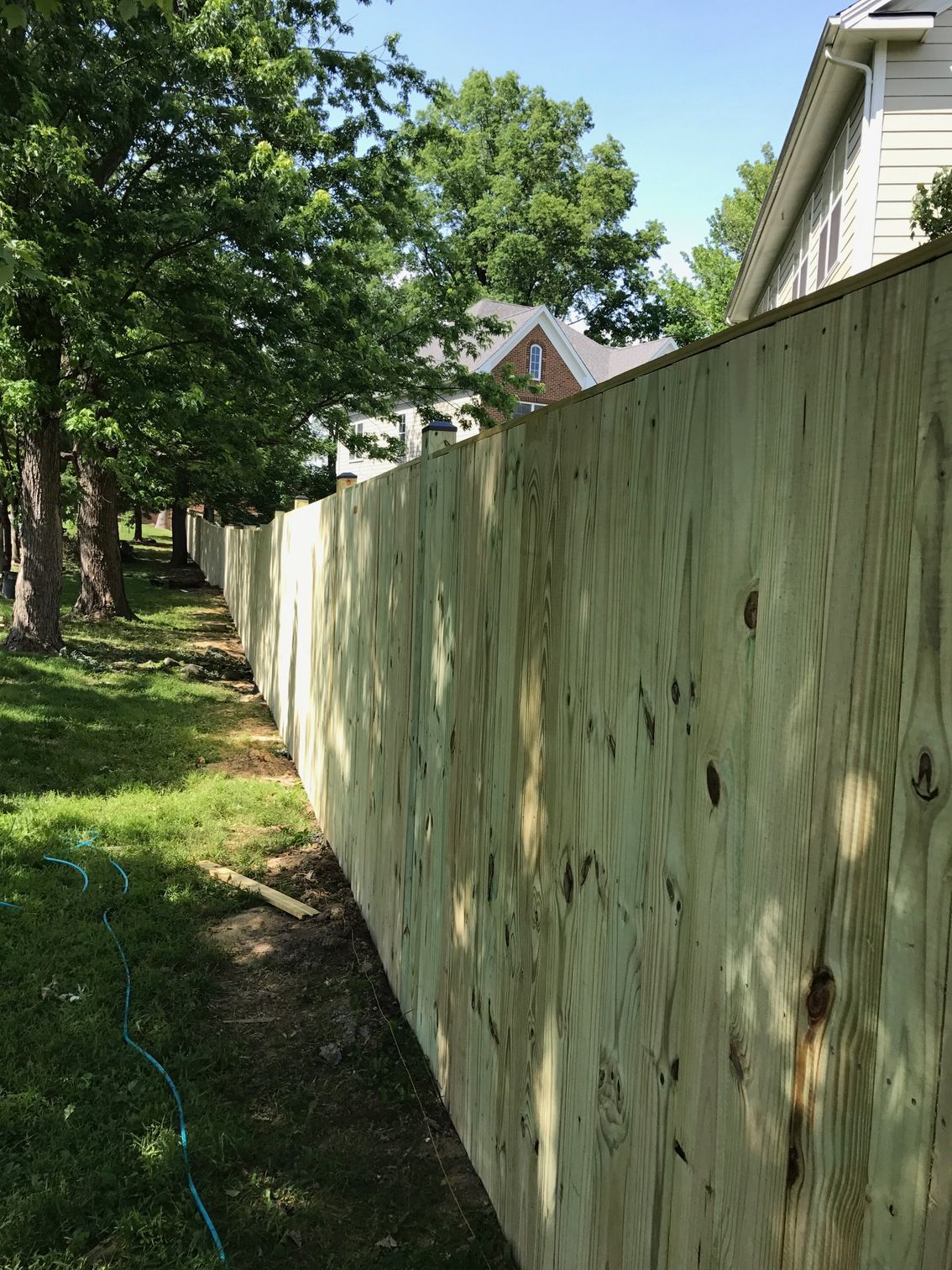 Wooden fence beside a grassy yard, trees in the background, a house visible above the fence line.