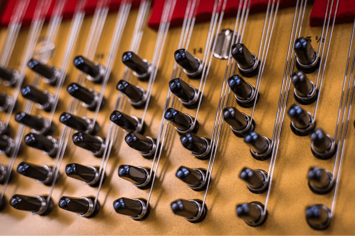 A close up of a harp with a lot of strings